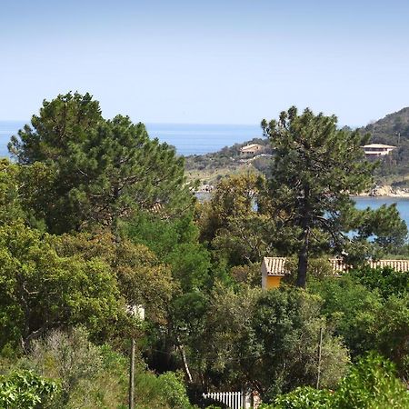 Villa Mimosa Фавоне Екстер'єр фото